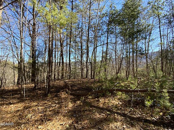 3rd image of 7 Hatcher Mountain Rd Lot 7-R