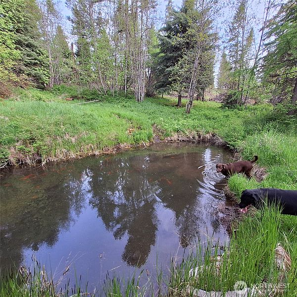 2nd image of 519 Pontiac Ridge Road
