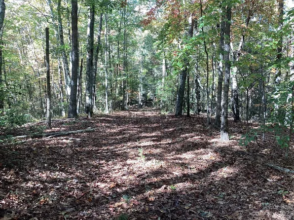 0 Sprouse Rd, Nebo, NC 28761