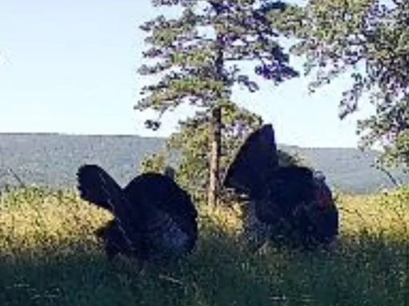 TRACT Four N 4225 Rd, Clayton, OK 74536