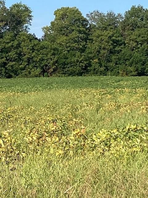2nd image of 3845 Camden Hwy
