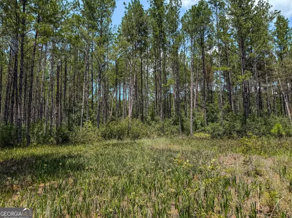 0 Grey Hawk Rd, Millwood, GA 31552
