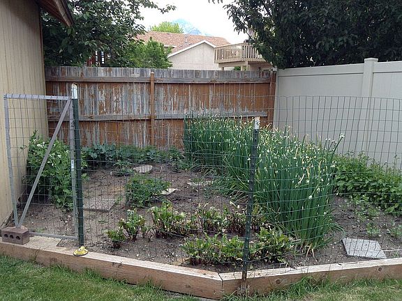 garden area