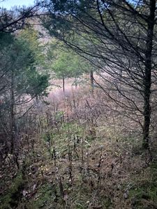 3779-4173 Keefer Rd, Corinth, KY, 41010