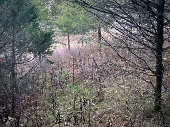 3779-4173 Keefer Rd, Corinth, KY 41010