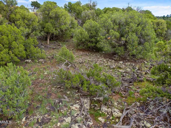 8281 &8283 RIDGE Drive #11, Show Low, AZ 85901
