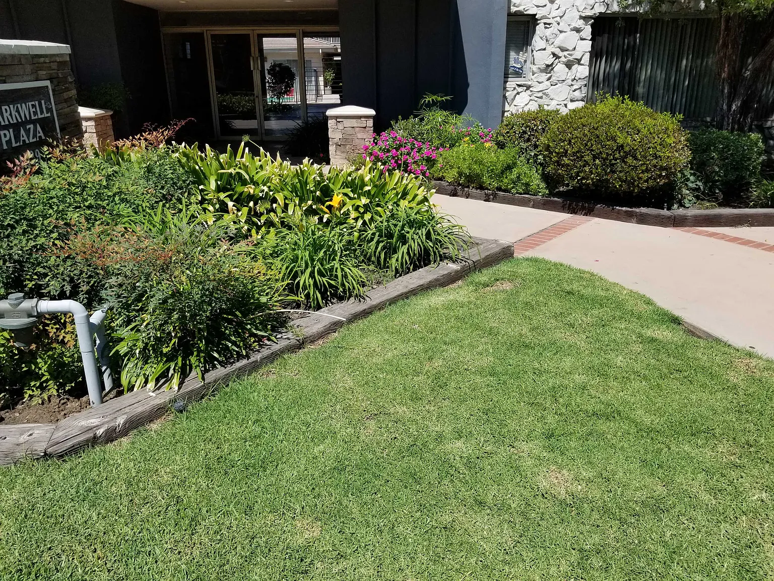 1 bed, $2,250 — Photo 3