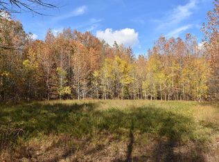 1125 Pittman Rd, Somerville, TN 38068