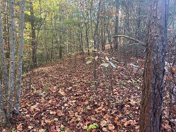 2nd image of 23 Trail Blazer Way