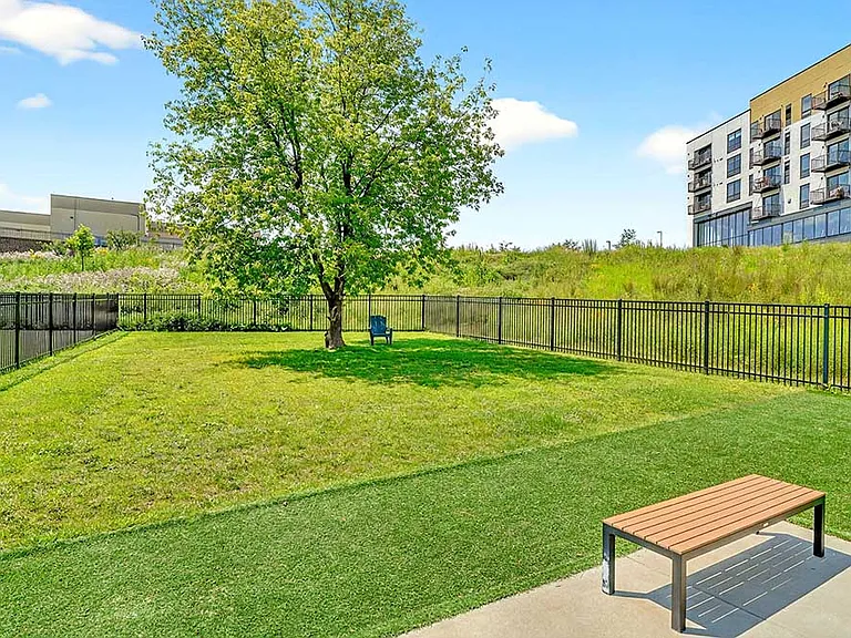 Spacious dog park areas offer plenty of room for pets to run, play, and burn off energy just steps from home.