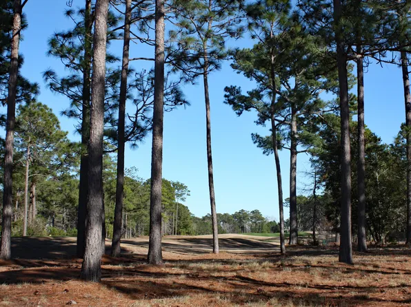 462 Laurel Valley Drive, Shallotte, NC 28470