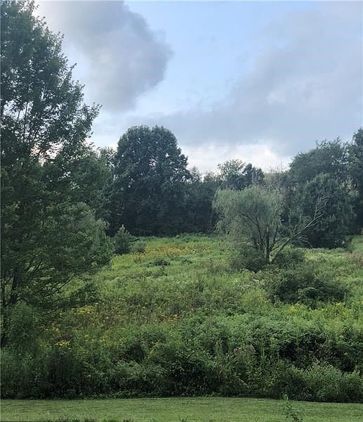 2nd image of 328 Flatwoods Rd