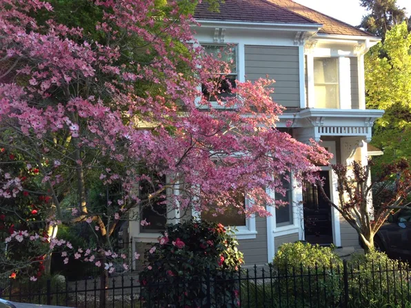 120 Grove St APT 2, Nevada City, CA 95959