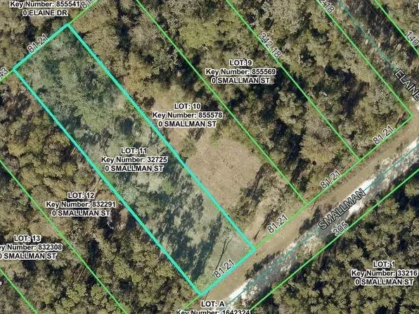 Smallman St Lot 11, Webster, FL 33597