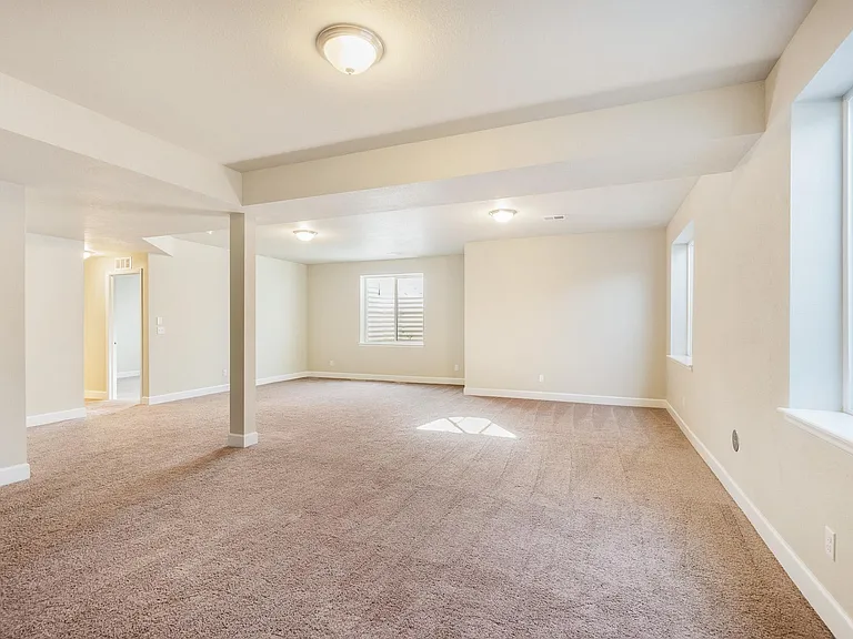 Full finished basement with huge unfinished storage in adjacent room