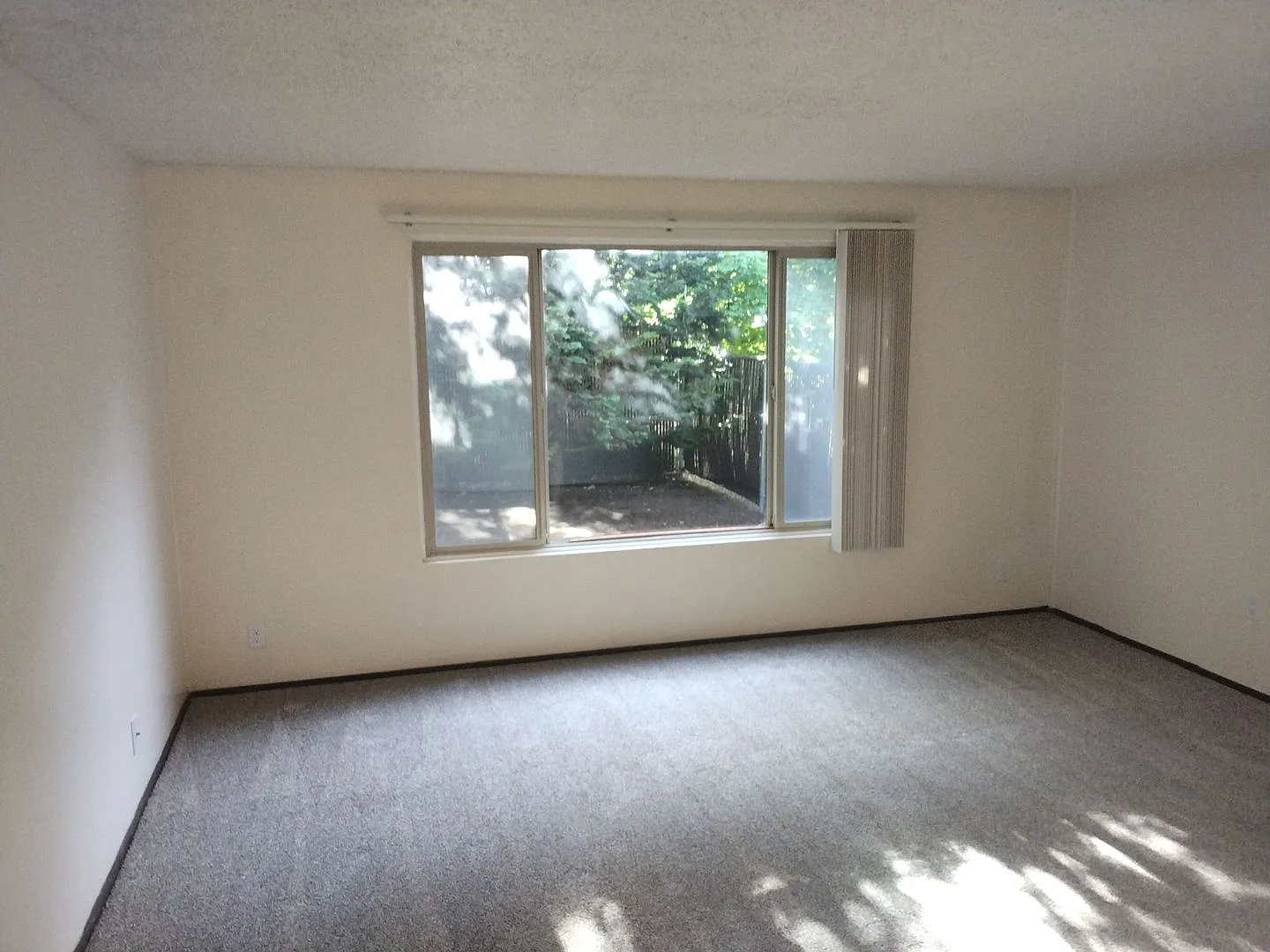 56912t — Photo 3