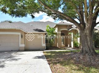 3809 Saddle Ridge St, Valrico, FL 33596