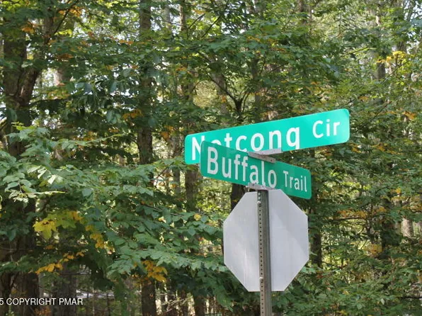 Buffalo Trl #8, Pocono Lake, PA 18347