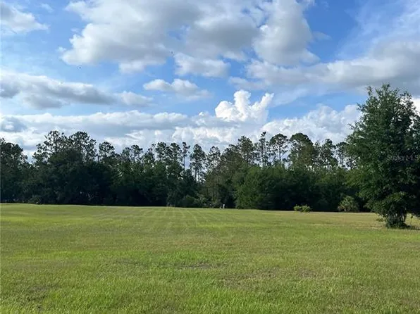 12940 Curley St, San Antonio, FL 33576