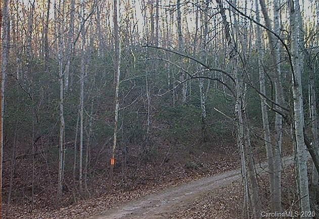 2nd image of 0 Wolf Trl #119