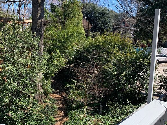 Apt 2 rear deck with view of garden path and large oak tree in early spring