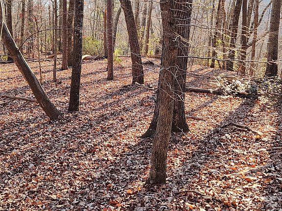 3rd image of LOT-11C Youngs Mountain Dr