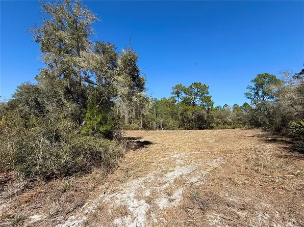 LOT 11 Poinciana St Lot 11, Eustis, FL 32736