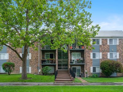 1627 N Windsor Dr APT 305, Arlington Heights, IL, 60004