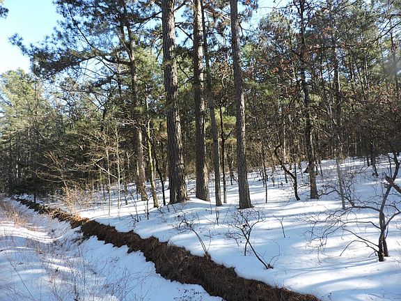 2nd image of Green Needles Rd