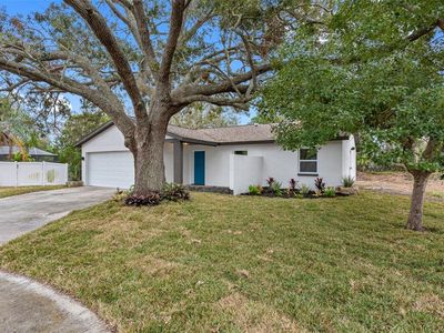 1399 Grapeleaf Ct, Tarpon Springs, FL, 34689