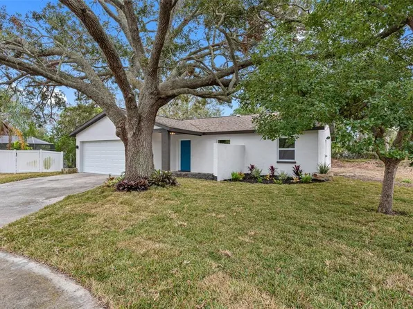 1399 Grapeleaf Ct, Tarpon Springs, FL 34689