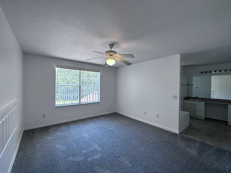 307 Coconut Palm Way — Photo 17