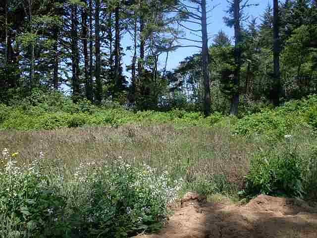 2nd image of 270 Lakeside Loop