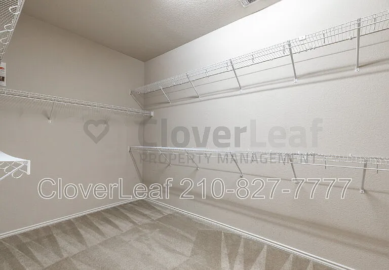 3734 Ox Eye Daisy — Photo 33