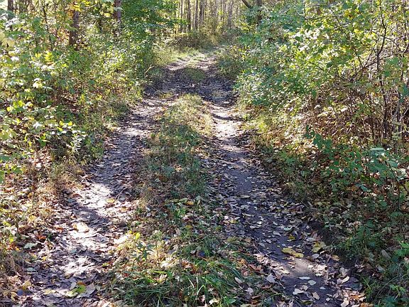 2nd image of V Dr N