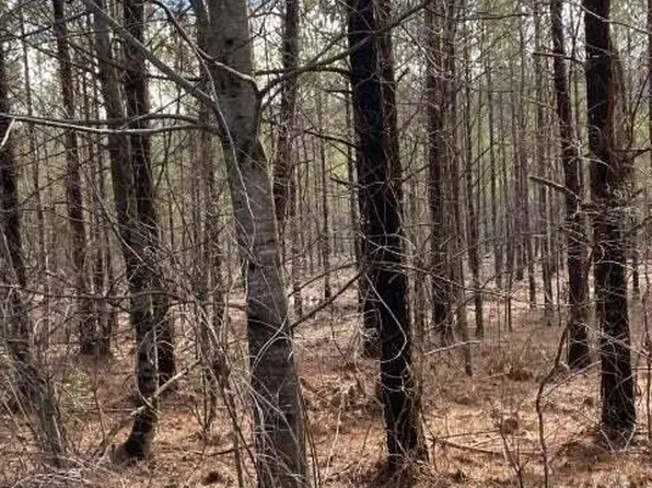 3 Thomas Springs Rd Lot 3, Crossville, TN 38572