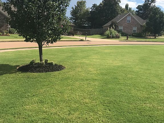 Front yard - Corner Lot
