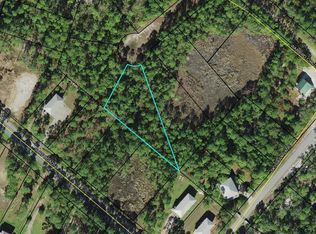 Lots 20&21 Tarpine Dr, Panacea, FL 32346