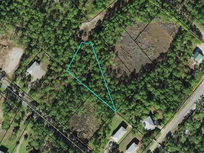 Lots 20&21 Tarpine Dr, Panacea, FL, 32346
