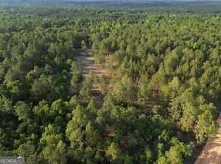 3570 William Dennis Rd, Cadwell, GA 31009