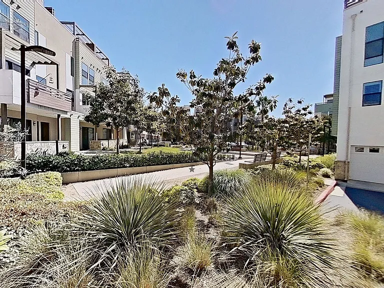 664 Wedge — Photo 58