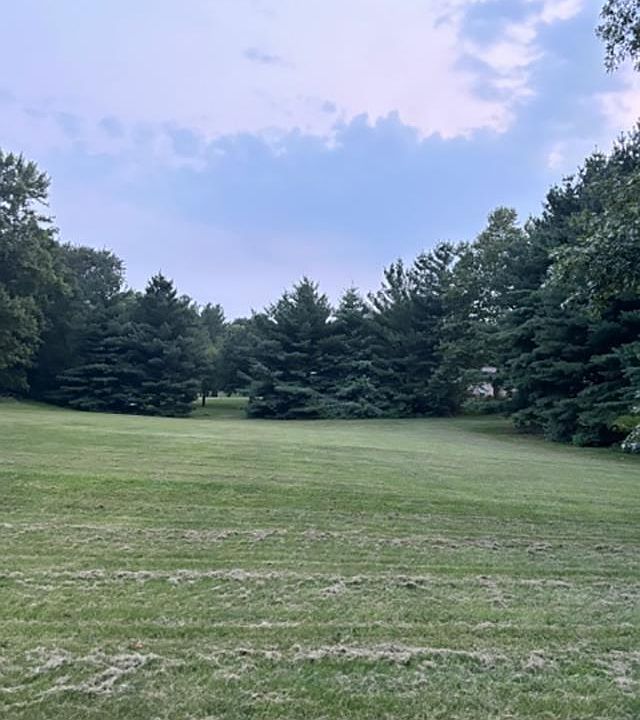 2nd image of LOT 53 N Daniels St