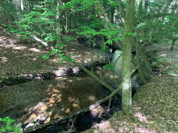 Vl E Wilke Rd, Rothbury, MI 49452
