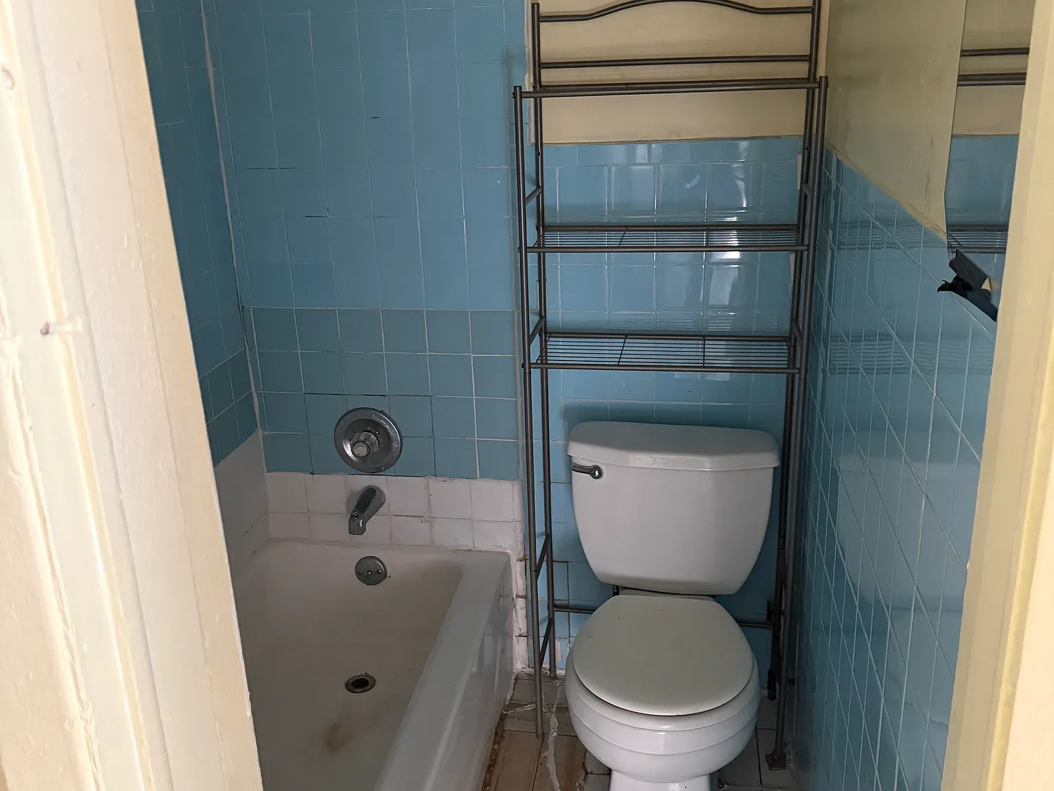1 bed, 550 sqft, $1,385 — Photo 3