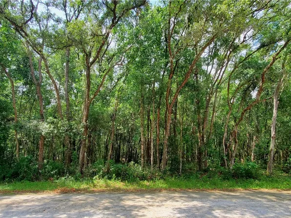 7133 N Canal St, Webster, FL 33597