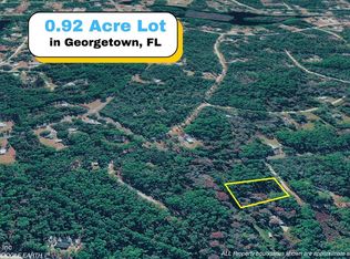 102 HYACINTH Court, Georgetown, FL 32139