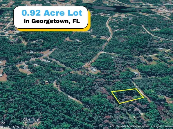 102 HYACINTH Court, Georgetown, FL 32139