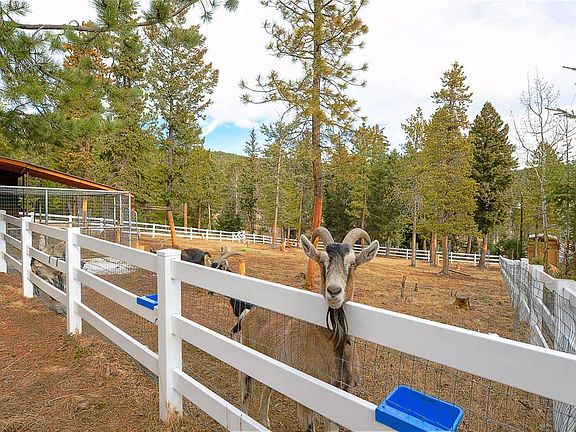 136'x96' Fenced Coral