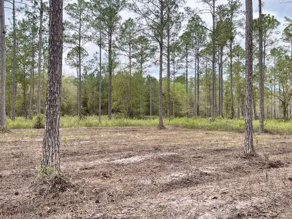 Tbd Nw Coleman Pl, Lake City, FL 32055