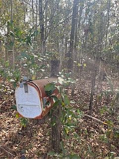 2nd image of 50 E Pinhook Rd